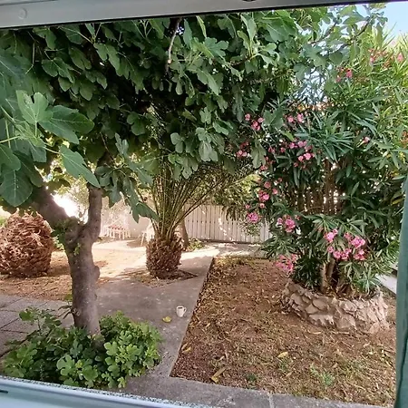 Hacienda Umpirski *